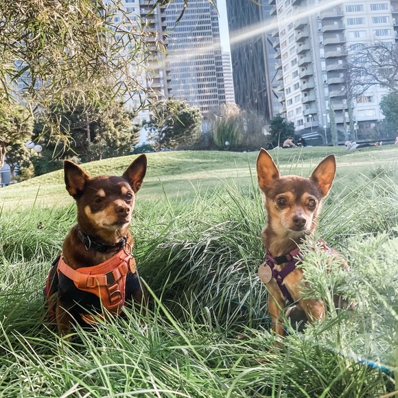 Hi, I'm Ashlee! - Picture 4 of 9